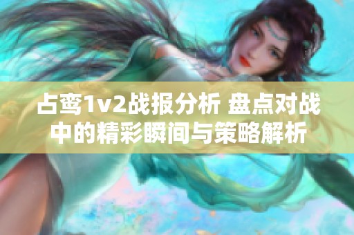 占鸾1v2战报分析 盘点对战中的精彩瞬间与策略解析