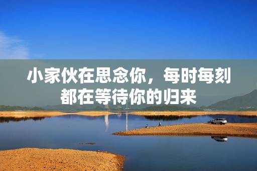 小家伙在思念你，每时每刻都在等待你的归来