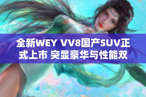全新WEY VV8国产SUV正式上市 突显豪华与性能双重魅力