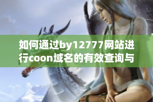 如何通过by12777网站进行coon域名的有效查询与管理