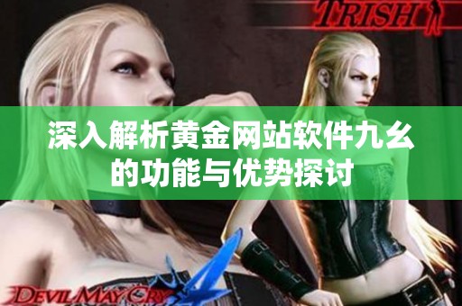 深入解析黄金网站软件九幺的功能与优势探讨