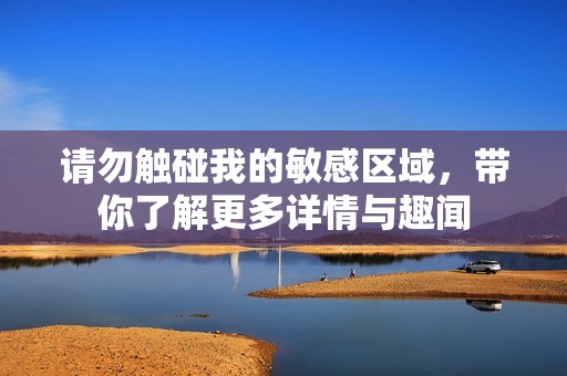 请勿触碰我的敏感区域，带你了解更多详情与趣闻