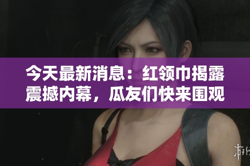 今天最新消息：红领巾揭露震撼内幕，瓜友们快来围观！