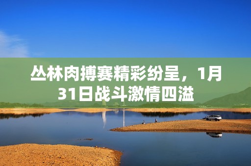 丛林肉搏赛精彩纷呈，1月31日战斗激情四溢