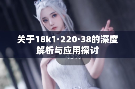 关于18k1·220·38的深度解析与应用探讨