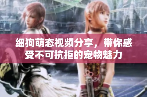 细狗萌态视频分享，带你感受不可抗拒的宠物魅力