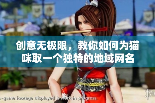 创意无极限，教你如何为猫咪取一个独特的地域网名