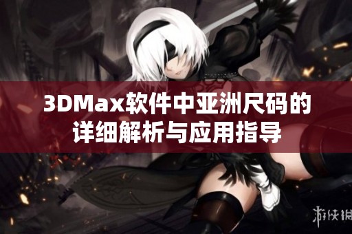 3DMax软件中亚洲尺码的详细解析与应用指导