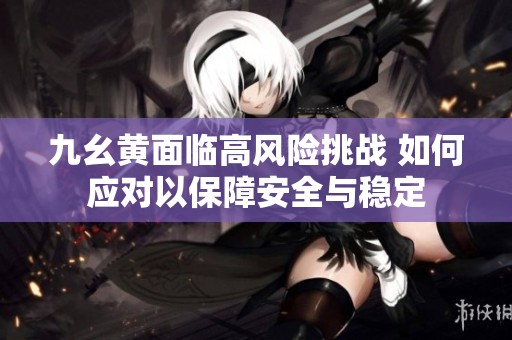 九幺黄面临高风险挑战 如何应对以保障安全与稳定