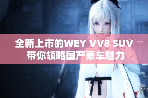 全新上市的WEY VV8 SUV 带你领略国产豪车魅力