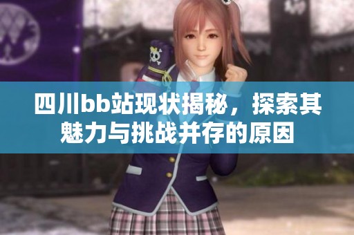 四川bb站现状揭秘，探索其魅力与挑战并存的原因