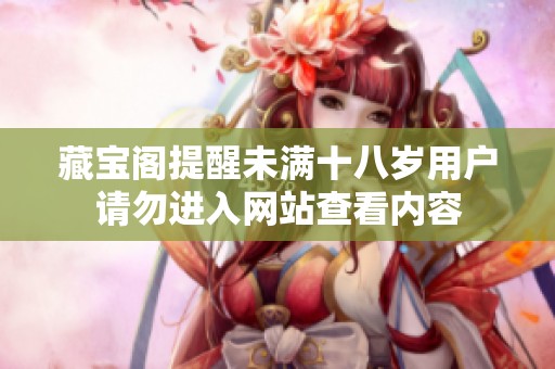 藏宝阁提醒未满十八岁用户请勿进入网站查看内容