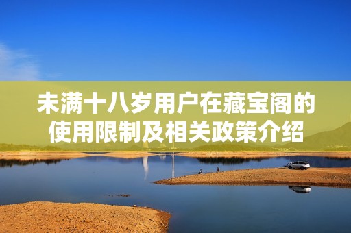 未满十八岁用户在藏宝阁的使用限制及相关政策介绍