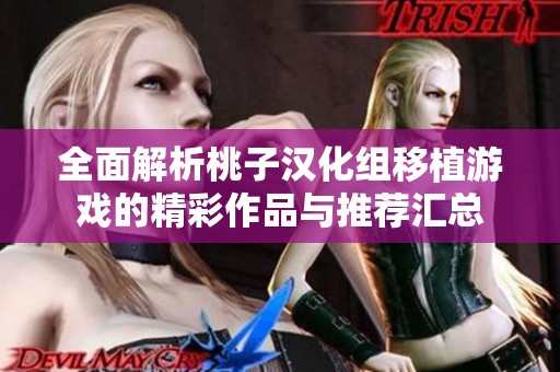 全面解析桃子汉化组移植游戏的精彩作品与推荐汇总