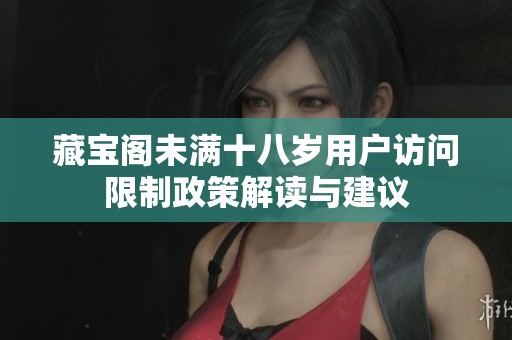 藏宝阁未满十八岁用户访问限制政策解读与建议