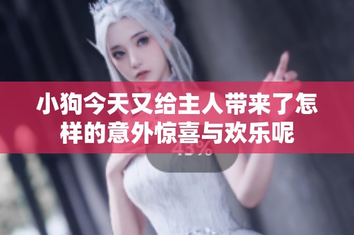 小狗今天又给主人带来了怎样的意外惊喜与欢乐呢