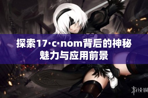 探索17·c·nom背后的神秘魅力与应用前景