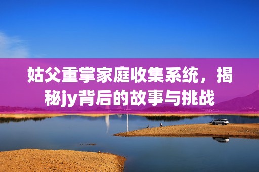 姑父重掌家庭收集系统，揭秘jy背后的故事与挑战