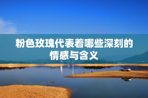 粉色玫瑰代表着哪些深刻的情感与含义