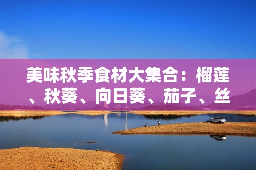 美味秋季食材大集合：榴莲、秋葵、向日葵、茄子、丝瓜尽享美味
