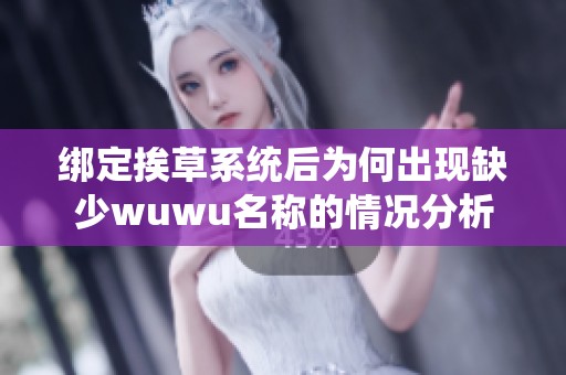绑定挨草系统后为何出现缺少wuwu名称的情况分析