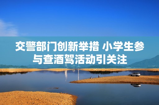 交警部门创新举措 小学生参与查酒驾活动引关注