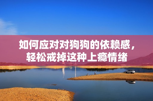 如何应对对狗狗的依赖感，轻松戒掉这种上瘾情绪