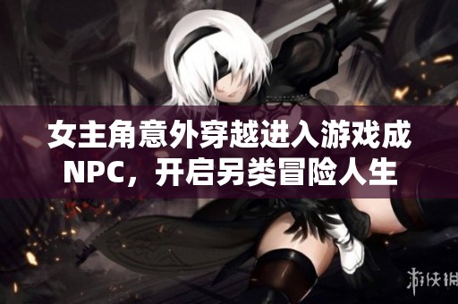 女主角意外穿越进入游戏成NPC，开启另类冒险人生