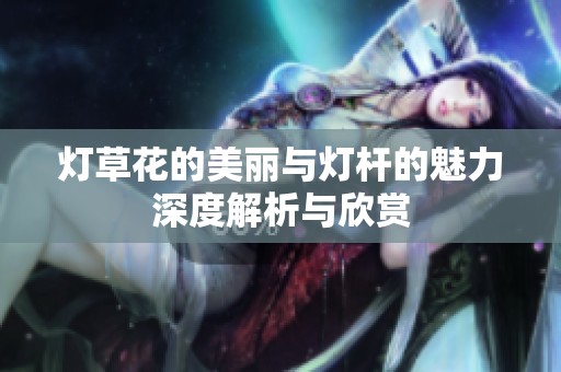灯草花的美丽与灯杆的魅力深度解析与欣赏