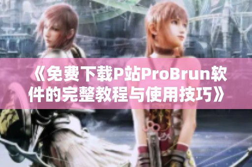 《免费下载P站ProBrun软件的完整教程与使用技巧》