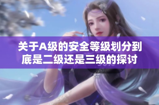 关于A级的安全等级划分到底是二级还是三级的探讨