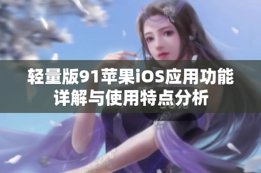 轻量版91苹果iOS应用功能详解与使用特点分析