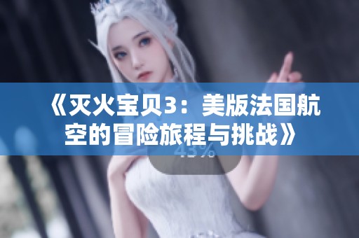 《灭火宝贝3：美版法国航空的冒险旅程与挑战》