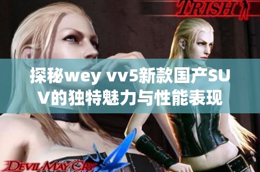 探秘wey vv5新款国产SUV的独特魅力与性能表现