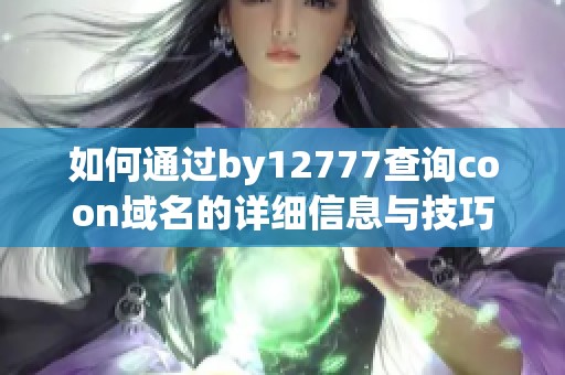 如何通过by12777查询coon域名的详细信息与技巧