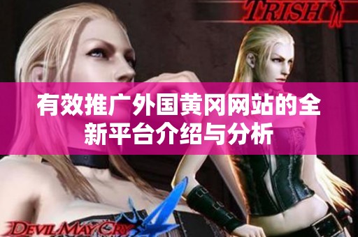 有效推广外国黄冈网站的全新平台介绍与分析