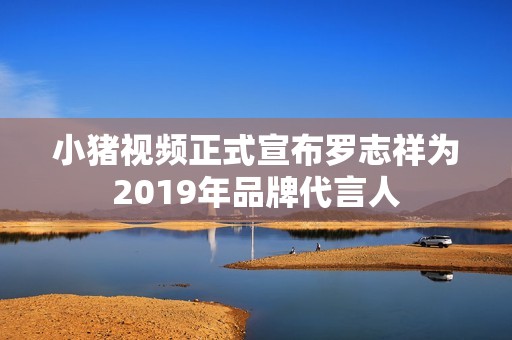 小猪视频正式宣布罗志祥为2019年品牌代言人