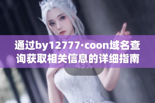 通过by12777·coon域名查询获取相关信息的详细指南