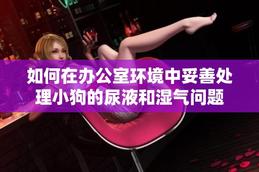 如何在办公室环境中妥善处理小狗的尿液和湿气问题