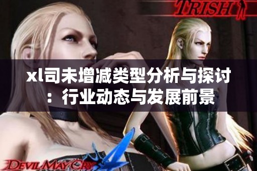 xl司未增减类型分析与探讨：行业动态与发展前景