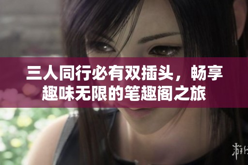 三人同行必有双插头，畅享趣味无限的笔趣阁之旅