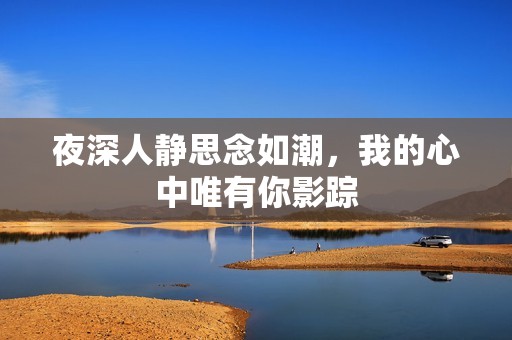 夜深人静思念如潮，我的心中唯有你影踪