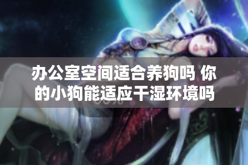办公室空间适合养狗吗 你的小狗能适应干湿环境吗