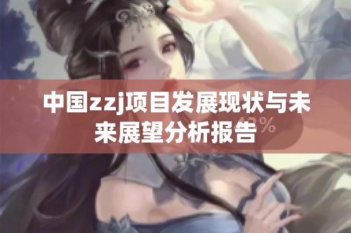 中国zzj项目发展现状与未来展望分析报告