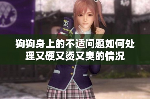 狗狗身上的不适问题如何处理又硬又烫又臭的情况