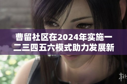 曹留社区在2024年实施一二三四五六模式助力发展新篇章