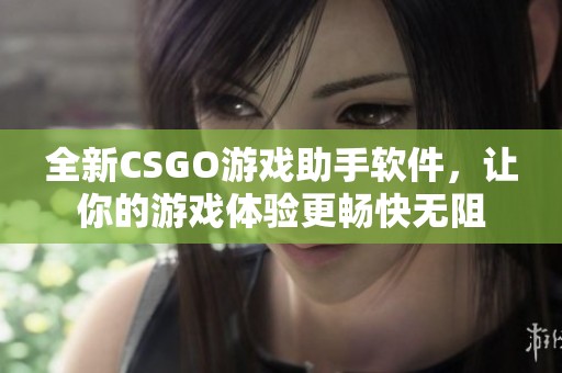 全新CSGO游戏助手软件，让你的游戏体验更畅快无阻