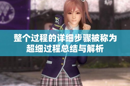 整个过程的详细步骤被称为超细过程总结与解析