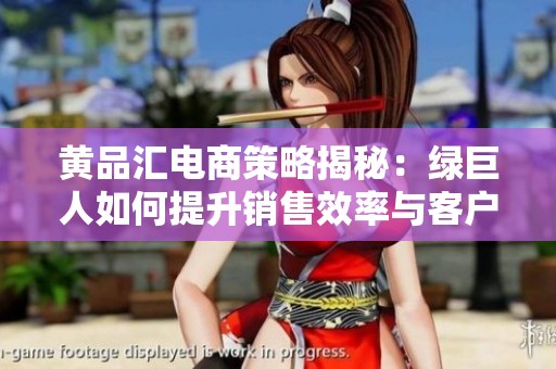 黄品汇电商策略揭秘：绿巨人如何提升销售效率与客户体验