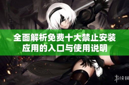 全面解析免费十大禁止安装应用的入口与使用说明